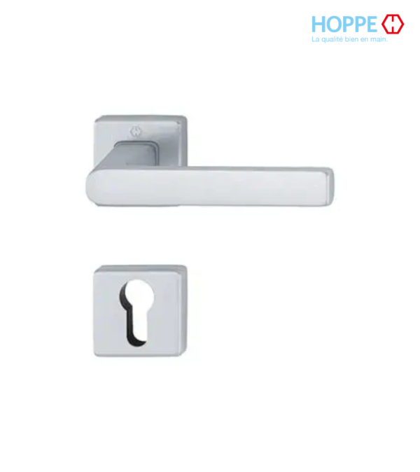 Porte intérieure / Aspect argent
